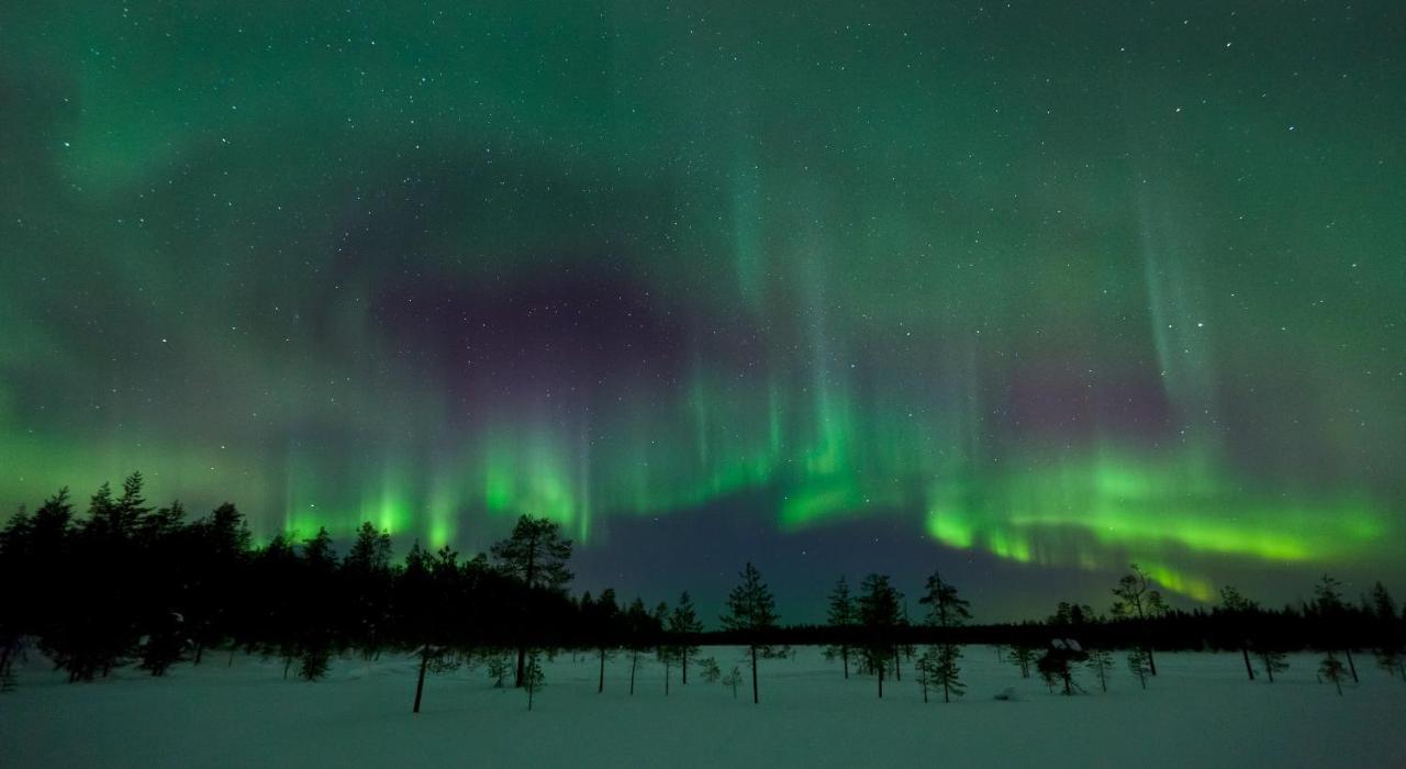 Taljatie Rovaniemi