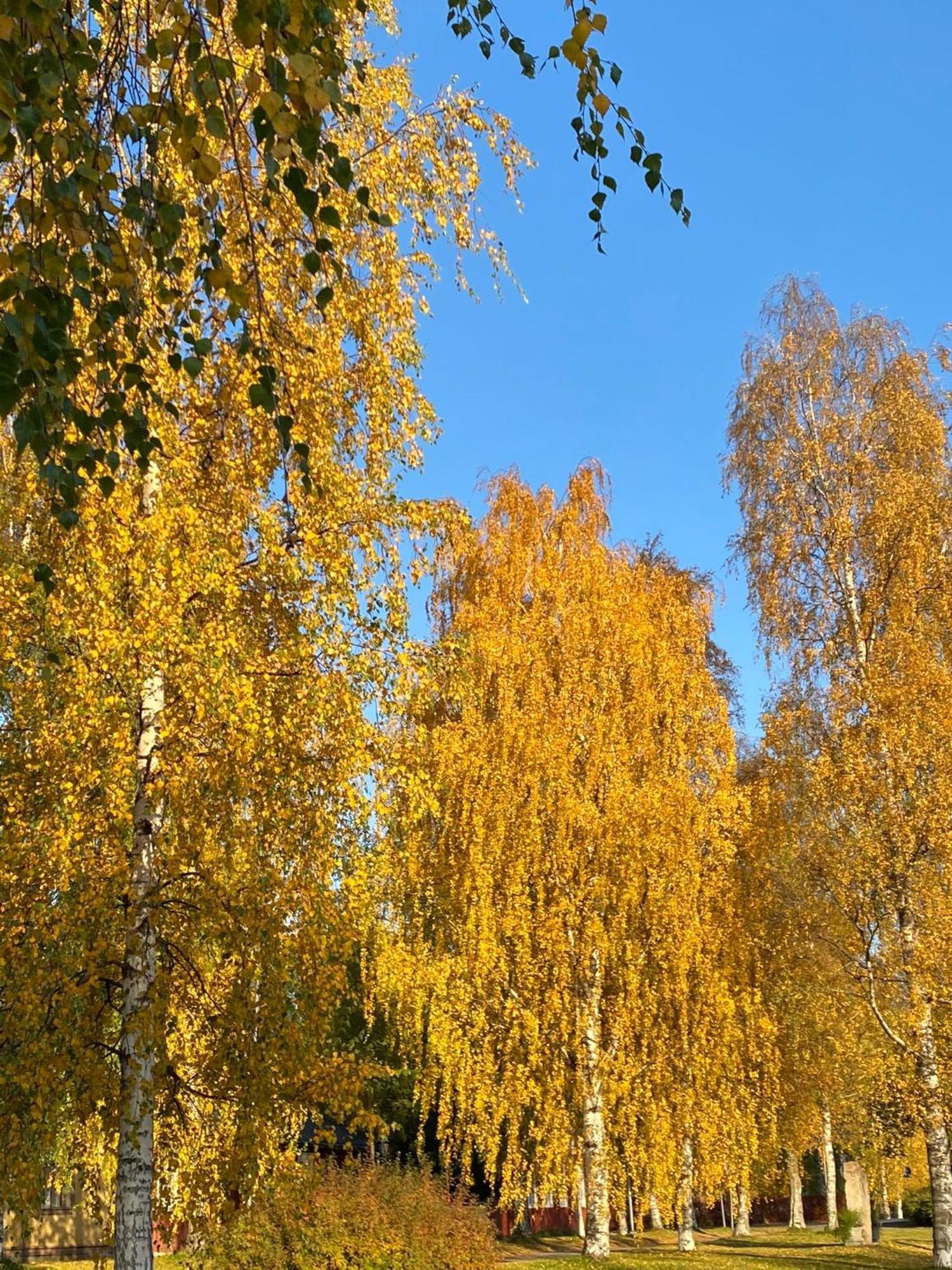 Lejlighed Taljatie Rovaniemi
